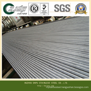 Small Diameter Seamless Stainless Steel Tube (300 SERIES)